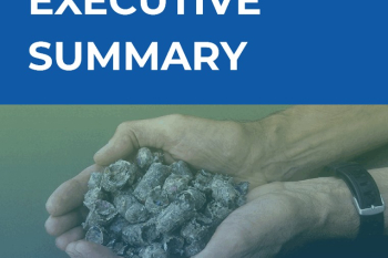 Ringkasan Eksekutif: Tinjauan dan Arah Kebijakan Pengelolaan Sampah Berbasis Energi, Studi Kasus RDF